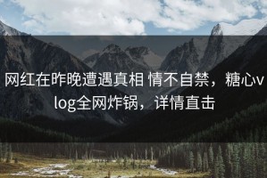 网红在昨晚遭遇真相 情不自禁，糖心vlog全网炸锅，详情直击