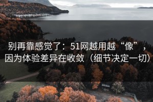 别再靠感觉了：51网越用越“像”，因为体验差异在收敛（细节决定一切）